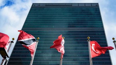 ОАЭ запросили заседание Совбеза ООН по Западному берегу реки Иордан